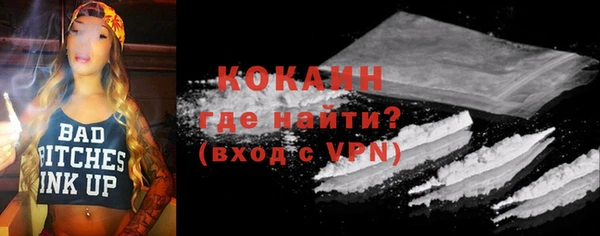 прущий лед Бородино