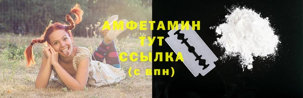 прущий лед Бородино