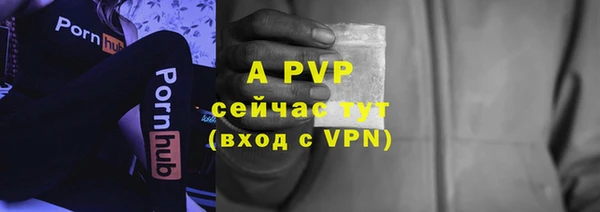 spice Верхний Тагил