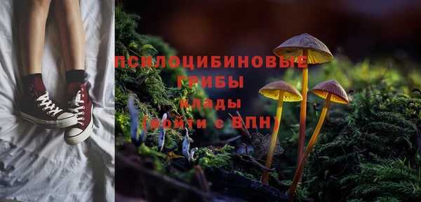 spice Верхний Тагил