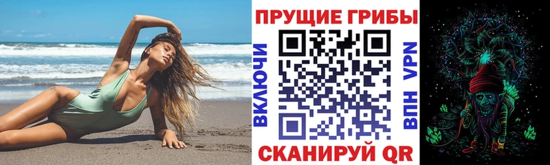Псилоцибиновые грибы Psilocybe  Энем 
