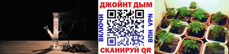 mega как зайти  Энем  Каннабис марихуана 